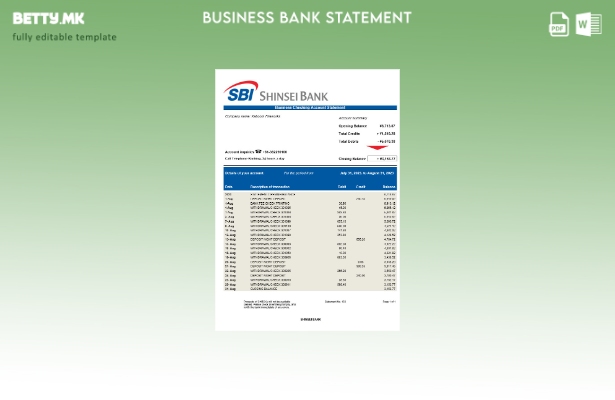 Модерен стил Деловната изјава на Shinsei Bank Шаблон Word и PDF