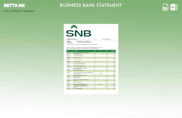Модерен стил Извештај за претпријатието на SNB банка Шаблон Word и PDF