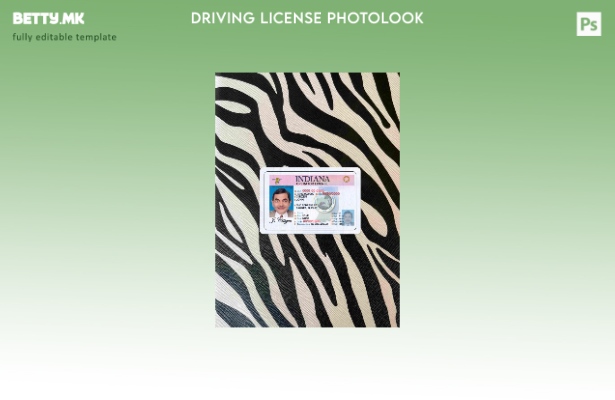 модерен стил USA Indiana DL photolook FRONT шаблон