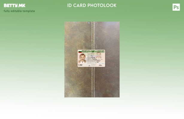 модерен стил Бугарија ID photolook ПРЕДЕН шаблон