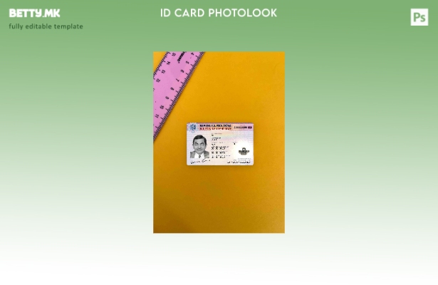модерен стил Молдавија ID photolook ПРЕДЕН шаблон