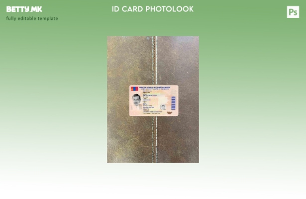 модерен стил Монголија ID photolook ПРЕДЕН шаблон
