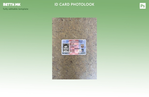 модерен стил Србија ID photolook ПРЕДЕН шаблон