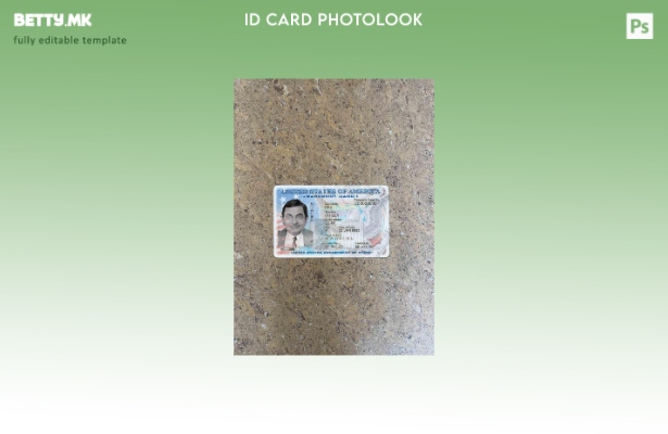 модерен стил на САД пасош лична карта photolook ПРЕДЕН шаблон