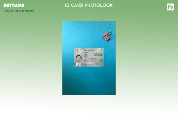 модерен стил Algeria ID photolook FRONT шаблон