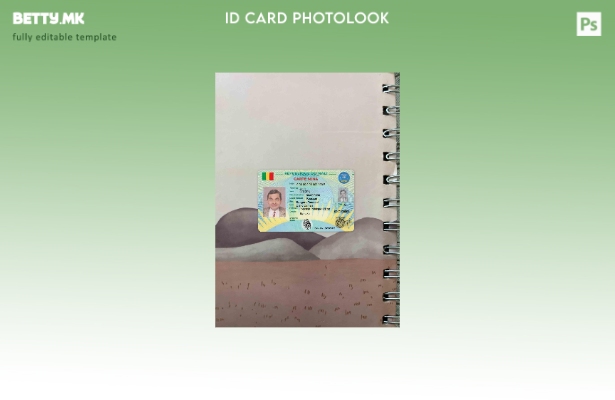 модерен стил Mali Carte Nina photolook ПРЕДЕН шаблон