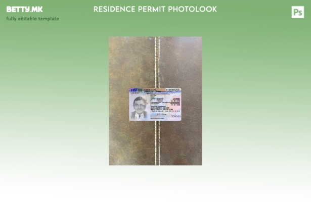 модерен стил верзија на дозвола за престој во Финска photolook ПРЕДЕН шаблон