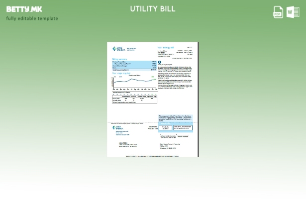 Модерен стил на шаблон верзија на сметки за комунални услуги на САД Duke Energy